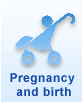 Pregnancy, Birth and Adoption 